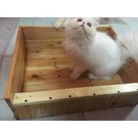 ราคา ลังคลอดลูกแมว ไม้พาเลท (457198782)