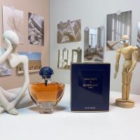 ราคา เบาะใหม่ 60 Guerlain One Thousand One Nights น้ําหอม 100ml Shalimar Eau De Parfum, 1925 Guerlain Perfumer jacques Guerlain Attributine หญิงกลิ่นหอม Spice Oriental Notes Top Notes กลิ่นหอม Lemon Cedar 