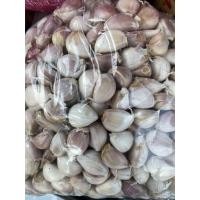 ราคา กระเทียมกลีบใหญ่แบบแกะ กระเทียมกลีบใหญ่ ราคา ส่ง ถูกที่สุด (42567877797)