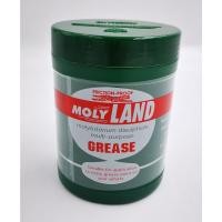 ราคา จาระบีทาเพลา/จาระบีทนความร้อน ขนาด 1ปอนด์/ 454 กรัม FRICTION-PROOF MOLYLAND (5063503367)