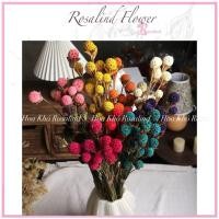 ราคา ช่อดอกไม้ไฮเดรนเยียอมตะแห้งธรรมชาติ – ตกแต่งบ้านสุดหรู กิ่งดอกไม้ เดคโค สไตล์วินเทจ (40123132918)