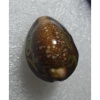 ราคา เบี้ยแก้ล้างอาถรรพ์หนุนดวง (18676066279)