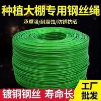 ราคา ลวดสลิงลวดสลิงกลางแจ้งแขวนวัฒนธรรมเชือกปลูกสีเขียวหนังผ้านวมเชือกราวตากผ้าพลาสติกฉีดปั้นปั๊มน้ําในร่ม ปี่0ข (28942275717)