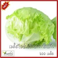 ราคา 200 เมล็ด ไอซ์เบิร์กผักกาดแก้ว เมล็ดไอซ์เบิร์กผักกาดแก้ว ผักสลัดแก้ว เมล็ดผักกาดแก้ว ผักกาดแก้ว (27227092626)