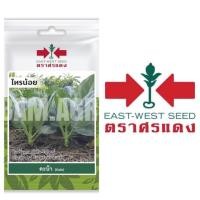 ราคา เมล็ดคะน้า (Kale) ไทรน้อย ตรา ศรแดง (7517805277)