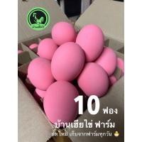 ราคา ไข่เยี่ยวม้า เนื้อเป็นวุ้นไม่เป็นน้ำ10ฟอง ลูกใหญ่ ปลอดสารพิษ พร้อมรับประทาน (26254445496)