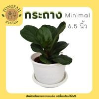 ราคา กระถางต้นไม้ สีขาว พร้อมจาน Minimal 6 นิ้ว กระถาง กระถางสีขาว กระถางต้นไม้สีขาว กระถางพลาสติก กระถางต้นไม้ Modern (7996504459)