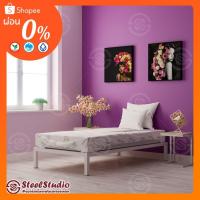 ราคา เตียงเหล็กไม่มีหัวเตียง ขนาด 3.5 ฟุต วางพอดีที่นอน (24761132864)