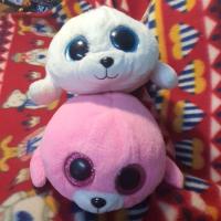 ราคา ตาโต ๆ แมวน้ำ งานตุ๊กตา ty ค่ะ (21988741670)