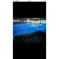 ราคา กระชังบก กระชังเลี้ยงกบ กระชังเลี้ยงปลา มีเก็บปลายทาง (5049209275)