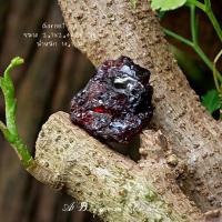 ราคา Garnet | Pyrope garnet | โกเมน #8 ♥️ #หินดิบ หินสะสม หินนำโชค หินมงคล - AD gemstone (14815002952)