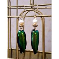 ราคา ต่างหูปีกแมลงทับก้านเกี่ยวเงินแท้ (24278031486)