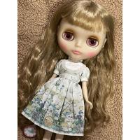 ราคา blythe radience renew junie moonie cutie again+clearly claire hair parts ตุ๊กตาบลายธ์แท้แบบnude (42476450420)