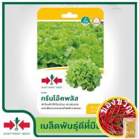 ราคา East-West Seed เมล็ดพันธุ์ผักสลัด (Lettuce seeds) กรีนโอ๊คพลัส เมล็ดพันธุ์ผัก เมล็ดพันธุ์ ผักสวนครัว เมล็ดผักสลัด กรีนโ (14396556558)