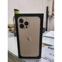 ราคา กล่อง IPhone 13 Pro Max Gold 256GB (40072135838)