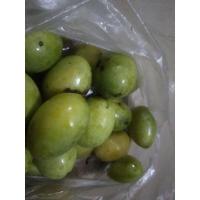 ราคา มะปรางดิบและเปรี้ยวขนาด500กรัม50 (22234400338)