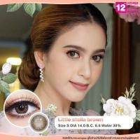 ราคา Little Stella Brown/สีน้ำตาล [สายตาสั้น -0.00 ถึง -10.00] Size Mini (S) ขนาดเล็ก / คอนแทคเลนส์ / ยี่ห้อ PrettyDoll (17802230526)