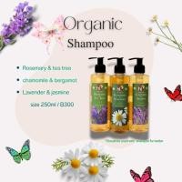 ราคา แชมพูโอลีฟออยล์ผสมสมุนไพรอโรม่า 250มล. (Herbal Aroma Olive Oil Shampoo 250ml.) (18045164592)