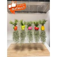 ราคา เคราฤาษีใส่ตุ็กตาเซรามิกรูปผักคละสี ตกแต่งสวน มอสสเปน ไม้ฟอกอากาศกรองฝุ่น Ceramic Spanish Moss (22165266438)