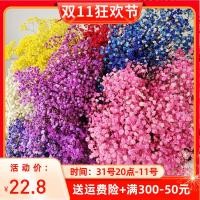 ราคา ยิปโซฟิล่า ห้องนั่งเล่น ดอกไม้แช่อิ่ม ดอกไม้แห้ง ช่อดอกไม้แห้ง ช่อดอกไม้ขนาดใหญ่ วันเกิด วันวาเลนไท (29368829504)