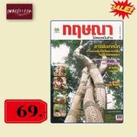 ราคา พิเศษ69 บ.(จากปกติ 150บ.) กฤษณา ไม้หอมหมื่นล้าน (10995255279)