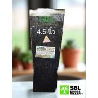 ราคา เสียมแทงปาล์ม เหล็กสปริง ขนาด 4.5 นิ้ว (29539437158)