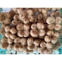 ราคา ดอกฝ้าย ดอกcotton ดอกฝ้ายDIY ชุด 10 ดอก ไม่มีก้าน (27608097004)