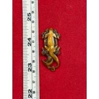 ราคา จิ้งจก หลวงพ่อครื้น วัดสังโฆ เขี้ยวเครื่องรางแกะ (41915169468)