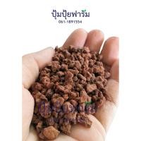 ราคา หินภูเขาไฟแดง ลาวาแดง Red Lava rock ล่อราก เพิ่มธาตุอาหาร มีรูพรุน ระบายอากาศ เก็บความชื้นได้ดี 475g (15754150809)