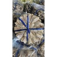 ราคา ปลากระดี่วง ปลากระดี่ตากแห้ง ปลาวง ปลากระดี่ ตากแห้งสนิทไม่มีกลิ่นเหม็น รสชาติเค็มไม่มาก สดใหม่สะอาด (6516775448)