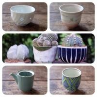 ราคา กระถางเซรามิกญี่ปุ่น #lot1 (3811481563)