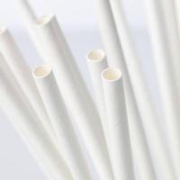 ราคา หลอดกระดาษรักษ์โลก PAPER STRAWS (6477636112)