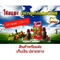 ราคา some dang ปุ๋ยน้ำชีวภาพโสมแดง อาหารชูกำลังสำหรับพืช ช่วยให้เกษตรกรลดปุ๋ยลง 50% (1 ลังบรรจุ 6 ขวด) (4642100468)