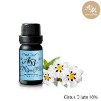 ราคา Aroma&More Cistus (Rock Rose) diluted 10% with Jojoba Oil Spain 100ML (22577108058)