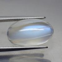 ราคา พลอย หลังเบี้ย มูนสโตน มุกดาหาร เหลือบ ฟ้า น้ำเงิน ธรรมชาติ แท้ ( Natural Blue Flash Moonstone ) หนัก 8.12 กะรัต (11925238997)