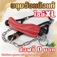 ราคา ขลุมวัว (ส่งฟรี 0บาท) ไซส์ XL ดำ - แดง หนังแท้ 100% เม่าวัว เชือกปีนเขา แข็งแรง ทนทาน เกรด A (23243838346)