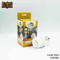 ราคา Lucky Herp หลอดไฟ UVB 10.0 สำหรับสัตว์เลื้อยคลาน (9W) Reptile Compact Fluorescent Lamp - MINI UVB (41560434008)