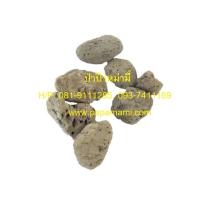 ราคา 1 กระสอบ หินภูเขาไฟ 18กก. หินพัมมิส Pumice Stone papamami (3059048657)