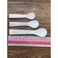 ราคา ช้อนเปลือกหอยมุกแพ็ก3ชิ้น 3ไซด์ เรียงไซด์ เล็ก กลาง ใหญ่ ขนาด 6.5-10cm 1 (แพกจะมี3ไซด์) (3783750804)