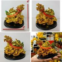 ราคา เต่าหัวมังกร เต่ามังกรนำโชคลาภเรียกทรัพย์ เสริมบารมี ร่ำรวย อายุยืน สัตว์มงคลแก้ชง แก้ฮวงจุ้ย พร้อมส่ง (8222802228)