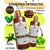 ราคา แชมพูสมุนไพรส้มป่อย จากเชียงราย (20586183632)