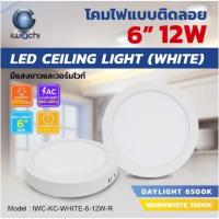 ราคา โคมไฟเพดาน ติดลอย ขอบขาว ขอบดำ IWACHI (16868868505)