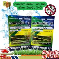 ราคา คลอโรทาโลนิล 75WG กระรอกเผือก เจียงอิน 1Kg ยาเชื้อราแรง ใบจุด ใบไหม้ ดอกผลเน่า (57400586994)