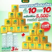 ราคา Dr.ABSOLUTE X HERB GOLD คอลลาเจนพืชสมุนไพร โปร 10 แถม 10 คอลลาเจนเฮิร์บ (15200840151)
