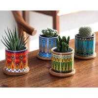 ราคา *พร้อมส่ง*กระถางเซรามิค กระถางต้นไม้ขนาดเล็ก ไม้มงคล แคคตัส กระบองเพชร สีสดใส ลายตาเล็ก (10245606964)