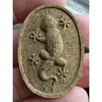 ราคา พญาจิ้งจกอาจารย์เลี้ยงวัดจอมเกษ (28455177639)