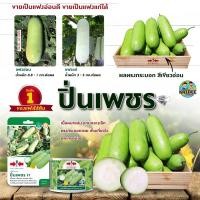 ราคา เมล็ดแฟง ปิ่นเพชร ขนาด1,000เมล็ด ตราศรแดง แฟงปิ่นเพชร เมล็ดพันธุ์แฟง เมล็ดพันธุ์ผัก เมล็ดผัก ศรแดง (12112148876)