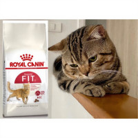 ราคา แบ่งขาย 1KG Royal Canin / Hill’s อาหารแมวเม็ด (41572515549)