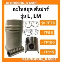 ราคา อะไหล่ชุด ยันม่าร์ " ชุปแข็งพิเศษ " รุ่น TF มีทั้ง LM , L ( TF75 TF85 TF105 TF115 ) ( ปลอกสูบ + ลูกสูบ + แหวน + ยางโอริ้ (11753530014)