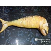 ราคา หมอนข้างปลาทูทอดแล้ว สีสวยๆ สีออกน้ำตาล (5442917746)